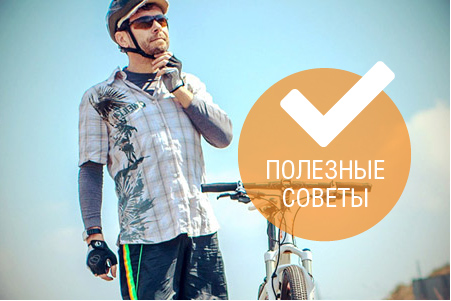 /articles/polza-dlya-zdorovya/